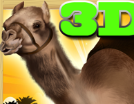 camel race game